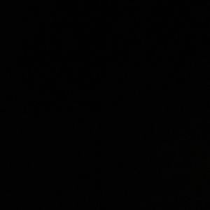 Meet your Posher, Payton